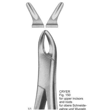 Cryer Tooth Extracting Forceps Fig. 150 in German stainless steel with contoured beaks for upper incisors.