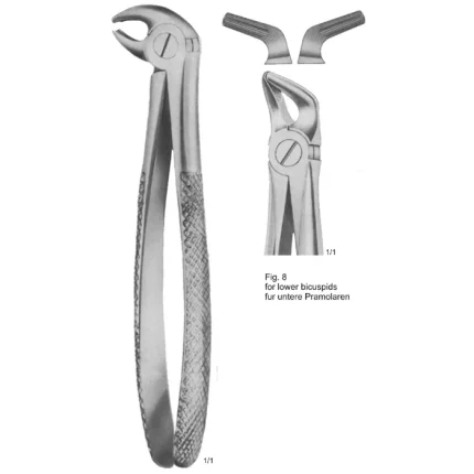 Feiner Tooth Extracting Forceps (English Pattern) made of German stainless steel with a glare-reducing matte finish.