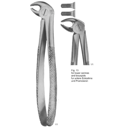 German stainless steel tooth extracting forceps (English pattern) with ergonomic handle and dull matte finish.