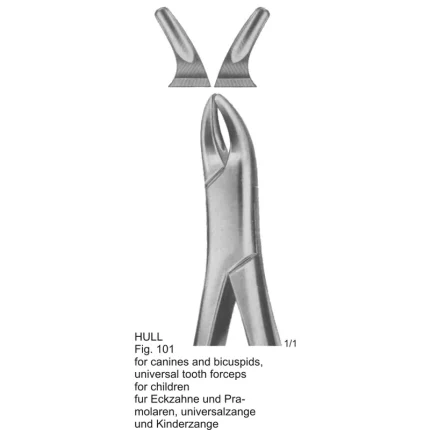 Hull Tooth Extracting Forceps Fig. 101 (ASI-2187) with dull matte finish