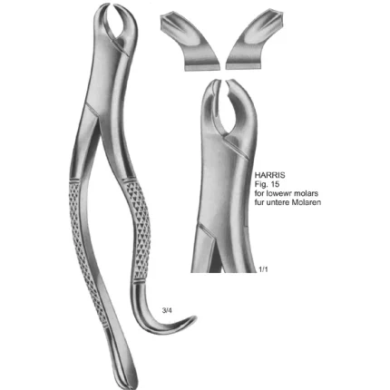 ASI-2165 Harris Tooth Extracting Forceps made of German stainless steel with American Pattern beak and textured handle.