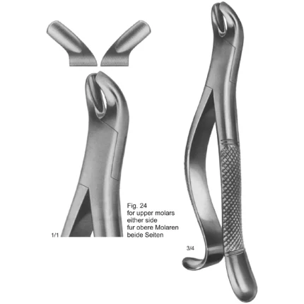 ASI-2169 Tooth Extracting Forceps American Pattern made of German stainless steel with a dull matte finish.