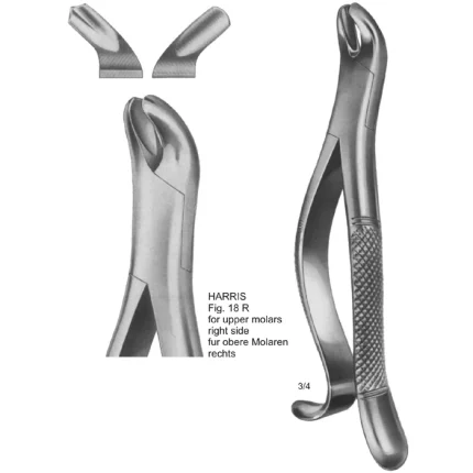 Harris Tooth Extracting Forceps ASI-2167 stainless steel surgical instrument.