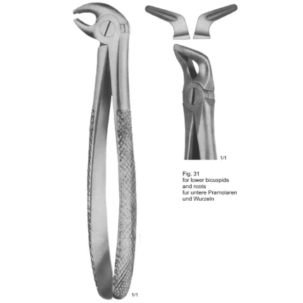 ASI-2150 Kaiser Tooth Extracting Forceps made of stainless steel with a matte finish for lower bicuspids and roots.