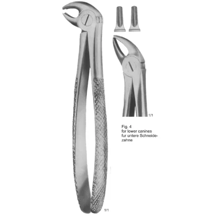 Kaiser Tooth Extracting Forceps (English Pattern ASI-2151) for lower canine extractions.
