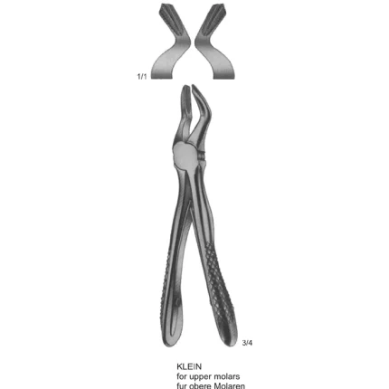 ASI-2158 Klein Upper Incisor Extraction Forceps with a dull matte finish, designed for pediatric dentistry.