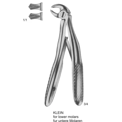 Klein Lower Molar Extraction Forceps for pediatric care