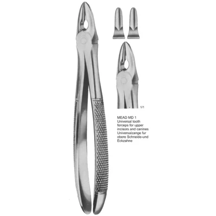MEAD MD 1 Universal Tooth Forceps made of stainless steel for upper incisor and canine extractions.