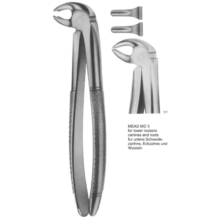MEAD MD 3 Universal Tooth Forceps (ASI-2138) made of stainless steel with a matte non-reflective finish.