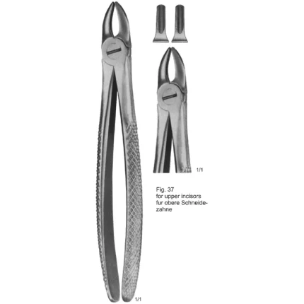 ASI-2141 Tooth Extracting Forceps English Pattern for upper incisors