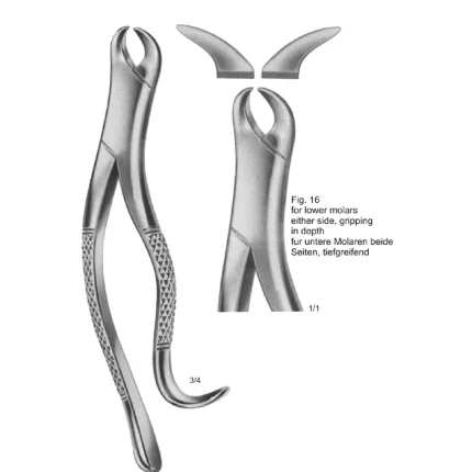 ASI-2164 Tooth Extracting Forceps Fig. 16 American Pattern for lower molars