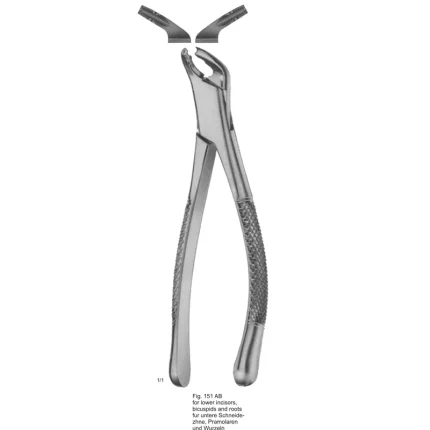ASI-2183 Tooth Extracting Forceps American Pattern