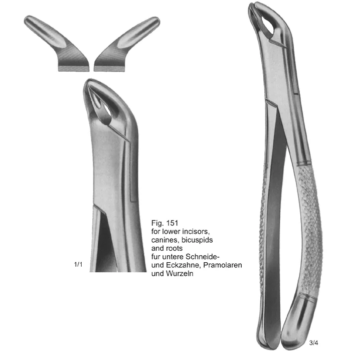 Tooth Extracting Forceps (American Pattern) for lower incisors, canines, bicuspids and roots ASI-2172 American Pattern tooth extracting forceps made of German stainless steel with a matte finish.