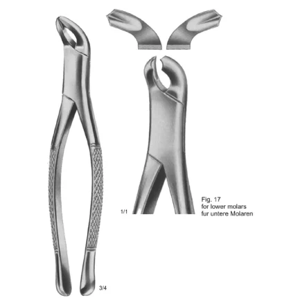 ASI-2170 American pattern tooth extracting forceps