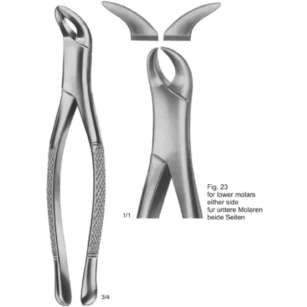 Tooth Extracting Forceps American Pattern Fig 23 for lower molars