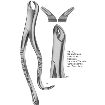 ASI-2166 German stainless steel dental tooth extracting forceps in American pattern design with a non-glare matte finish.