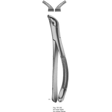 ASI-2182 German stainless steel American Pattern tooth extracting forceps