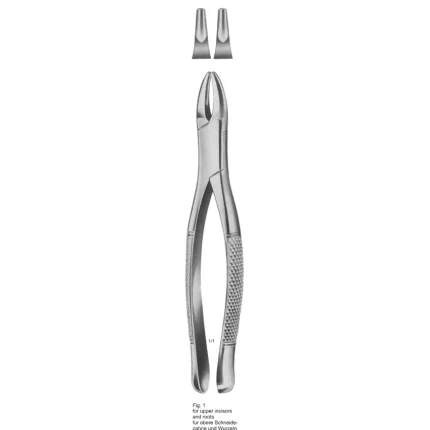 Stainless steel ASI-2186 tooth extracting forceps with contoured beaks and dull matte finish for upper incisors.