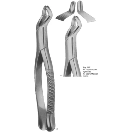 ASI-2176 Tooth Extracting Forceps (American Pattern) made of German stainless steel with a matte finish.