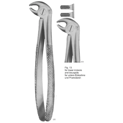 ASI-2155 English pattern tooth extraction forceps made of German stainless steel with a matte finish.