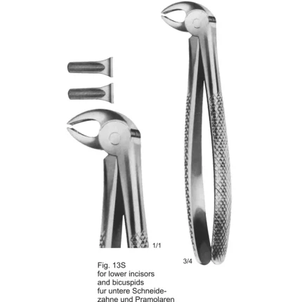 Tooth Extracting Forceps Fig. 13S (ASI-2134) English pattern for lower incisors and bicuspids, matte German stainless steel finish