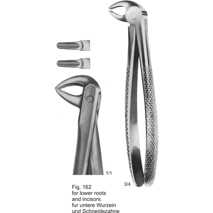 Tooth Extracting Forceps– Lower roots and incisors Tooth Extracting Forceps Fig. 162 (ASI-2133) English pattern for lower roots and incisors, matte German stainless steel finish