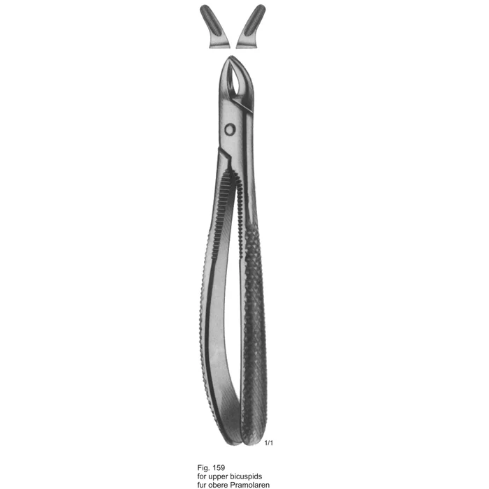 Tooth Extraction Forceps Fig. 159 for Upper bicuspids Tooth Extracting Forceps | Upper Bicuspids Tool