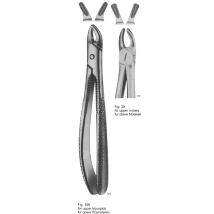 Pair of English pattern tooth extracting forceps (ASI-2142) shown from front and side angles against a white background.