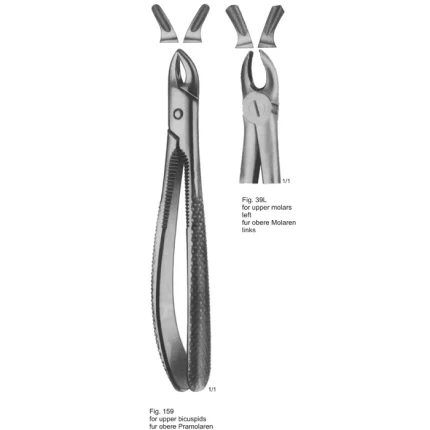 Tooth extraction forceps Fig. 39L English pattern for upper left molars, made of stainless steel with serrated handles.