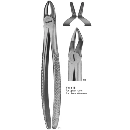 Stainless steel English pattern tooth extracting forceps (model ASI-2144) with a glare-free matte finish on a plain background.