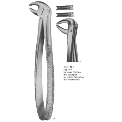 ASI-2154 Trotter Tooth Extracting Forceps (English Pattern) made of German stainless steel with a dull matte finish